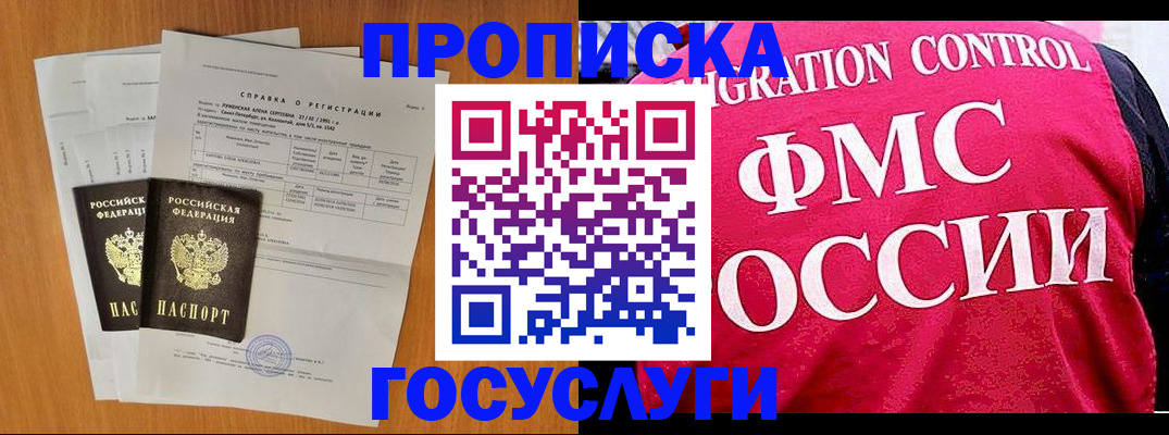 временная регистрация госуслуги в Палласовке